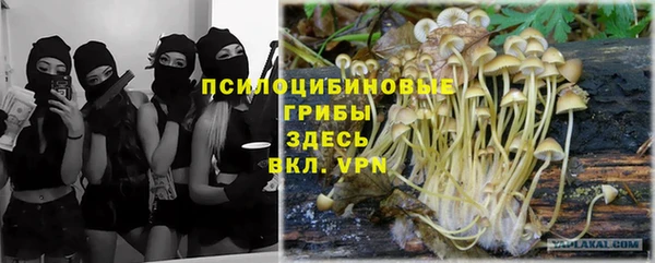 стафф Армянск