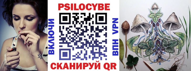 kraken ТОР  Новый Оскол  Псилоцибиновые грибы GOLDEN TEACHER 